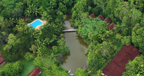 an aerial view of a river in a forest at Pousada Salve Floresta in Tapiraí