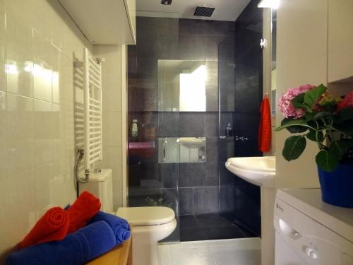 マドリードにあるApartment Olivarのバスルーム(シャワー、トイレ、シンク付)