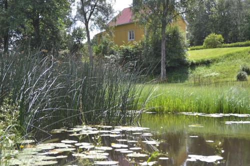 a pond with lily pads in front of a house at Lust Huset in Ambjörnarp