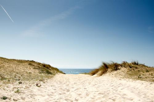 Green Resort — Beach