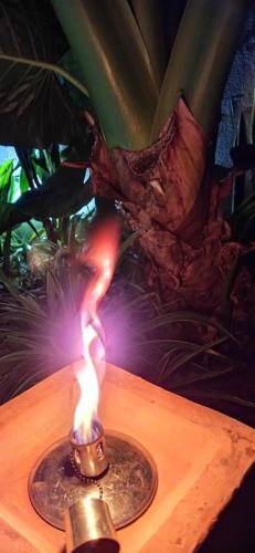 a lit candle on top of a table at Fleur de passion in Saint-André