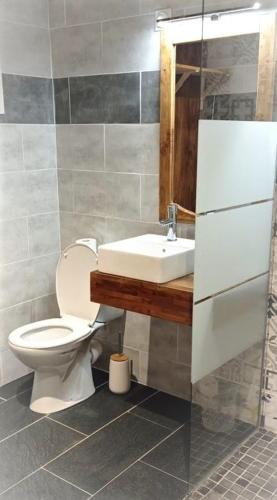 a bathroom with a toilet and a sink at Fleur de passion in Saint-André