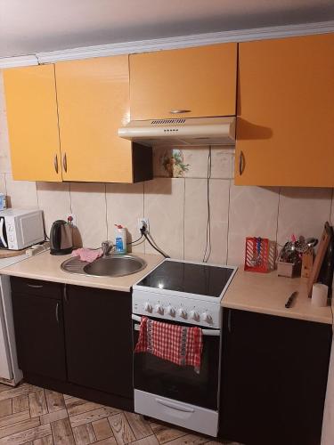 a kitchen with a stove top oven next to a sink at Подих Карпат in Slavske