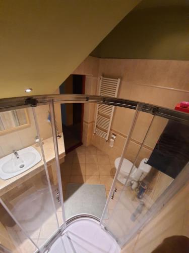 a small bathroom with a sink and a toilet at Willa Widok in Nałęczów