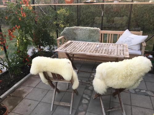 Billede fra billedgalleriet på Villa Thurø Homestay i Svendborg