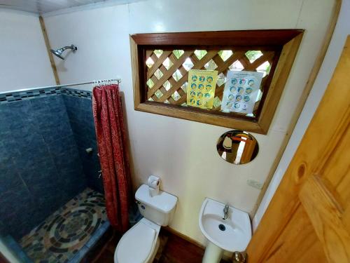 y baño con aseo, ducha y lavamanos. en Cabinas Tortuguero, en Tortuguero