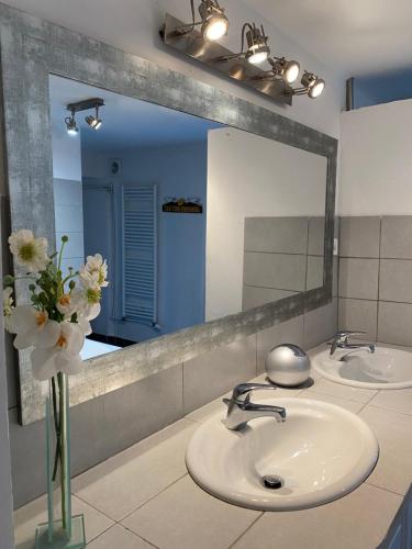 uma casa de banho com 2 lavatórios e um espelho grande em Une chambre au Haras em Céreste