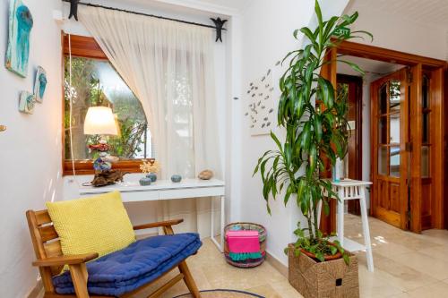 uma sala de estar com uma cadeira e uma planta em Hostal Manolita em San Antonio