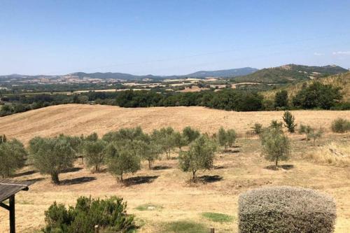 a field with trees and a hill in the background at Casetta Tre Poderi appartamento Papaveri in Monte Cucco