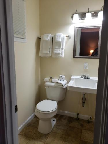 a bathroom with a toilet and a sink at Blue Ridge Motel in Schroon Lake