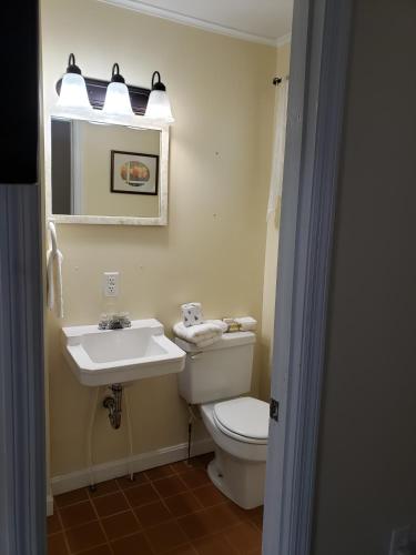 a bathroom with a white toilet and a sink at Blue Ridge Motel in Schroon Lake