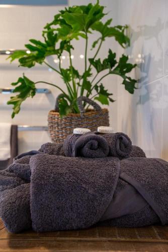 a pile of towels on a table with a plant at Johnnies in Robe
