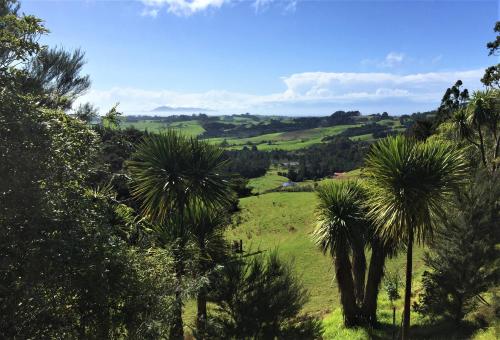 a view of a field with palm trees at The Hideout in Mangawhai