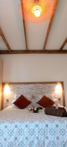 a bedroom with a large bed with red pillows at Fleur de passion in Saint-André