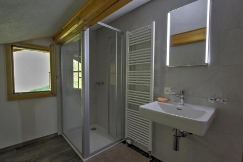 a bathroom with a sink and a shower at Les Chélettes in Chateau-d'Oex