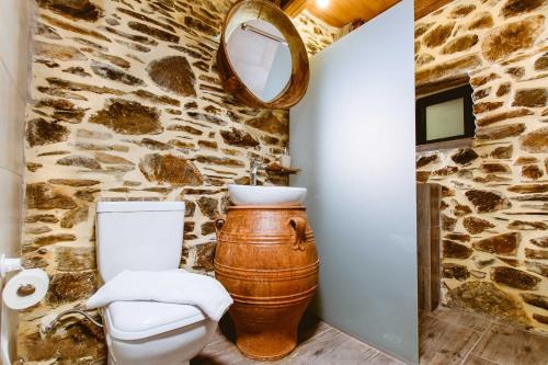 a stone bathroom with a toilet and a mirror at Traditional Apartments Elafos in Elafonisi