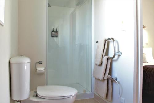 a bathroom with a toilet and a glass shower at Bella Vista Taupo in Taupo