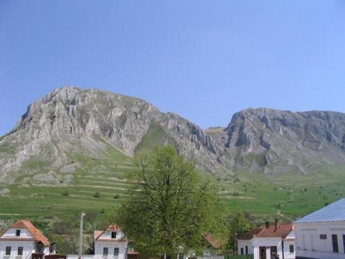 a mountain in the background with houses and a tree at Casa Kelemen Irén in Rimetea