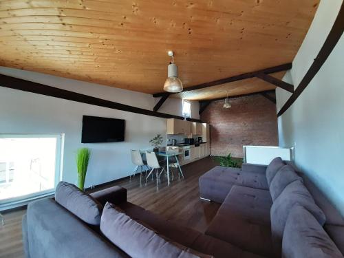 a living room with a couch and a table at SAV Ferienwohnung in Erfurt