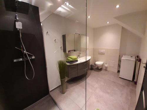 a bathroom with a shower and a sink and a toilet at SAV Ferienwohnung in Erfurt