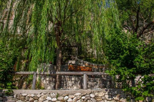 a weeping willow tree next to a wooden fence at La Caprareccia in Fiumata