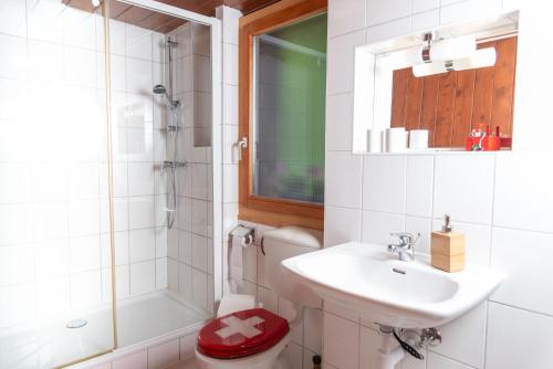 La salle de bains est pourvue de toilettes, d'un lavabo et d'une douche. dans l'établissement Chalet le Petit Tremplin, à Leysin