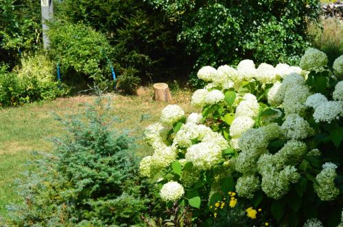 Un jardín fuera de Domek w sercu Pogórza Karpackiego