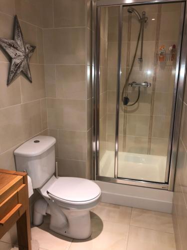 a bathroom with a white toilet and a shower at Oyster Bay Holiday Apartment Dundrum in Dundrum