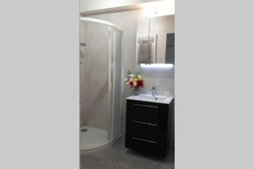 Port Vauban appartement F3 refait à neuf photo 14