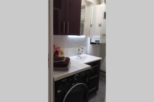una cucina con lavello e lavatrice di Port Vauban appartement F3 refait à neuf a Antibes
