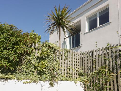 a house with a fence and a palm tree at The Lookout in Newquay