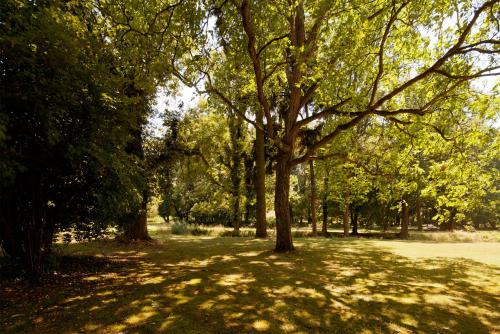 a park with a lot of trees and grass at Schlosshotel Ziethen in Kremmen