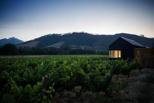 a small cabin in a field of crops at Gite in Franschhoek