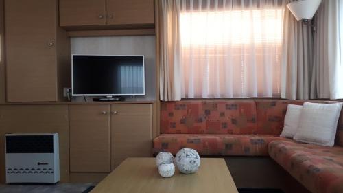 uma sala de estar com um sofá e uma televisão em AMELAND-Nes-Duinoord: Stacaravan (chalet) + fietsen direct aan zee! em Nes