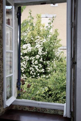an open window with a bush of white flowers at Grange Bleuet in Aubeterre-sur-Dronne