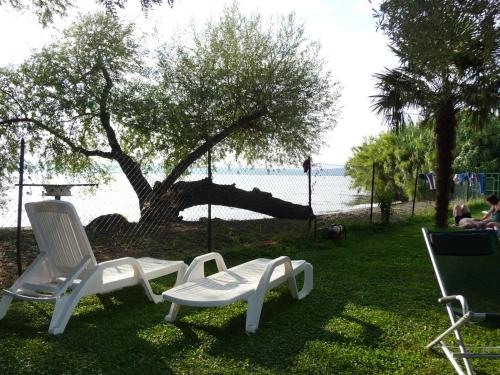 two white chairs sitting in the grass next to a tree at Agriturismo Antica Cassia in Bolsena