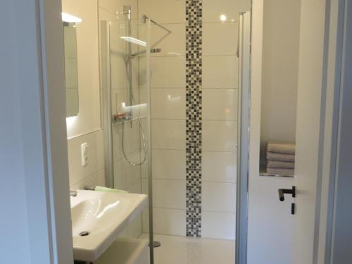 a bathroom with a glass shower and a sink at Ferienwohnungen Grafenfelder Hof in Gerolstein