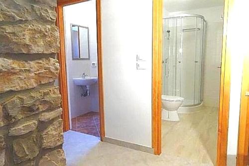 a bathroom with a toilet and a shower and a sink at Villa Rustica in Buje