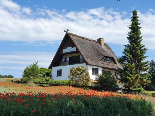 a house in a field of flowers at Pension Petersen in Bergen auf Rügen