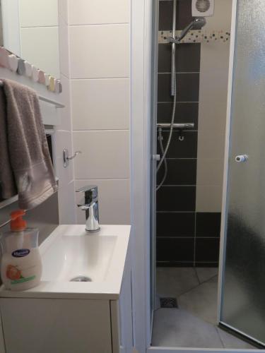 a bathroom with a sink and a shower at Les Collinades de Chalons in Châlons-en-Champagne