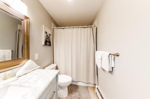 a bathroom with a toilet and a sink and a mirror at Watch Hill Lofted in Silverthorne