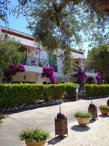 Tenuta Belvedere – Photos 3