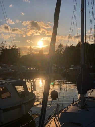 a group of boats docked in a marina at sunset at Noclegi Jachtklub Elbląg in Elblag