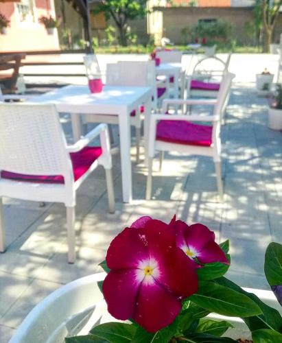 a table and chairs and a flower in a bowl at Maslina Rooms in Smederevo