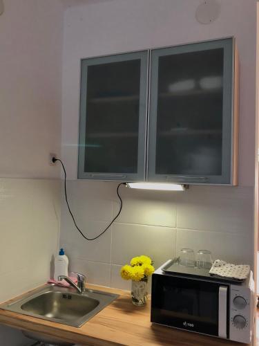 a kitchen with a sink and a microwave at Borbély apartman in Nagykanizsa