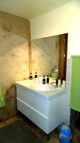 a bathroom with a sink and a large mirror at Les Gîtes "Le Petit Val" in Durbuy