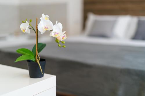 Atena Roomsにあるベッド