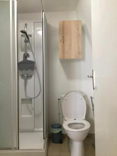 a small bathroom with a toilet and a shower at Tapis vert 2 in Cahors