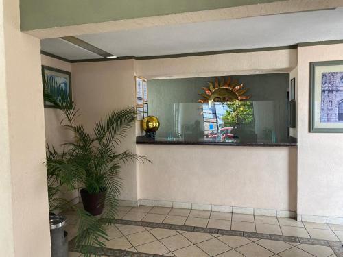 a hallway with a mirror and a potted plant at Hotel Zacatecas Courts in Zacatecas