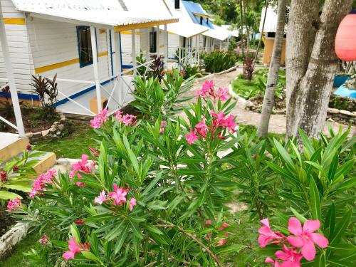 a group of pink flowers in front of a house at Cabañas Agua Dulce in Providencia